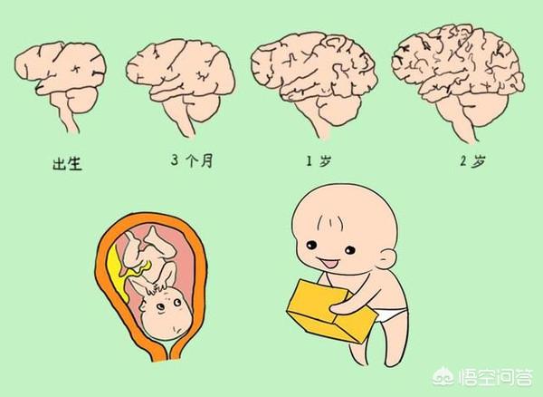 宝宝聪明要趁早，这3个智力发育黄金时期，宝妈们一定不要错过！哪3个？