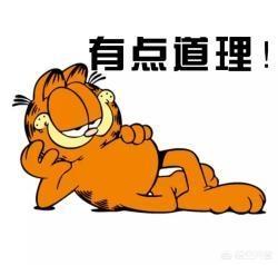 孩子的才艺是不是学的越多越好？
