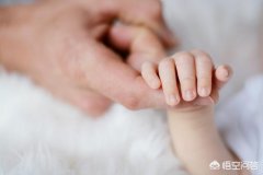 智力开发的内容与方法？