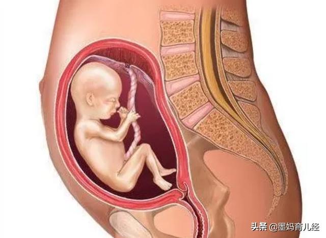 怀孕21周时，胎宝宝和准妈妈有什么变化？要注意什么？