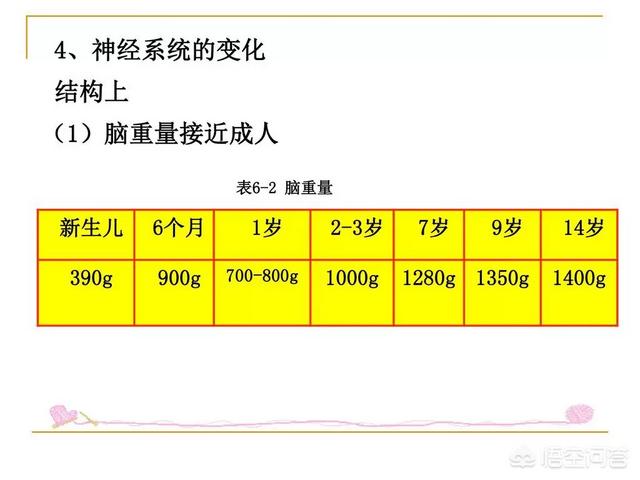 宝宝智商在三岁就已经定型，是真的吗？