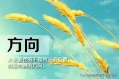 男孩五岁了，学什么特长好点？最好是能考大学