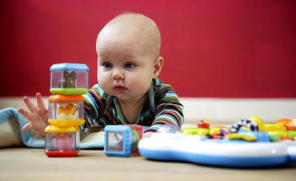 从大脑发育角度看，0-1个月的新生儿如何陪玩有利于智力开发？