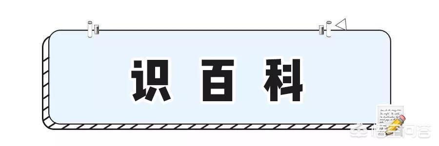 适合早教的儿童益智玩具有哪些？