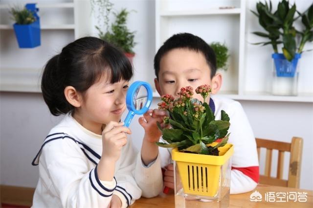总是舍不得孩子去读幼儿园，心里一直不放心上幼儿园怎么办？3岁？