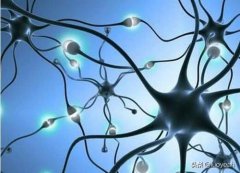 如何刺激大脑发育，开发大脑？