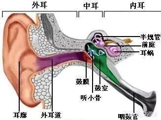 孩子上幼儿园老坐不住，总爱动，该怎么办？