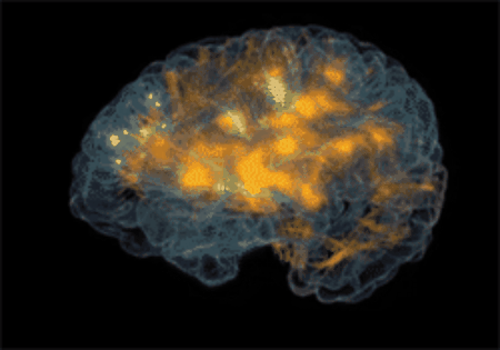 如果人类的大脑开发到100%会有哪些伤害？