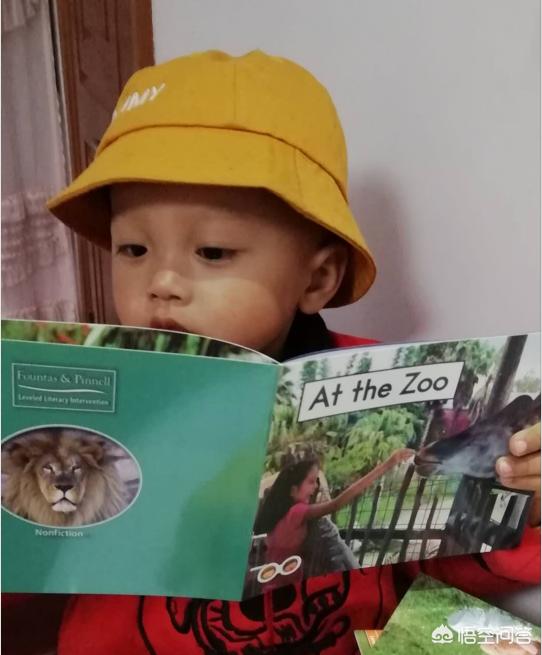 宝宝在几个月时开始阅读比较好？