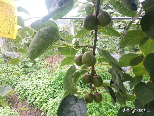 女人应该学点什么？
