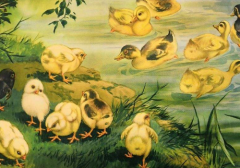 三年级小动物童话故事必须三个动物小鸡,小鸭