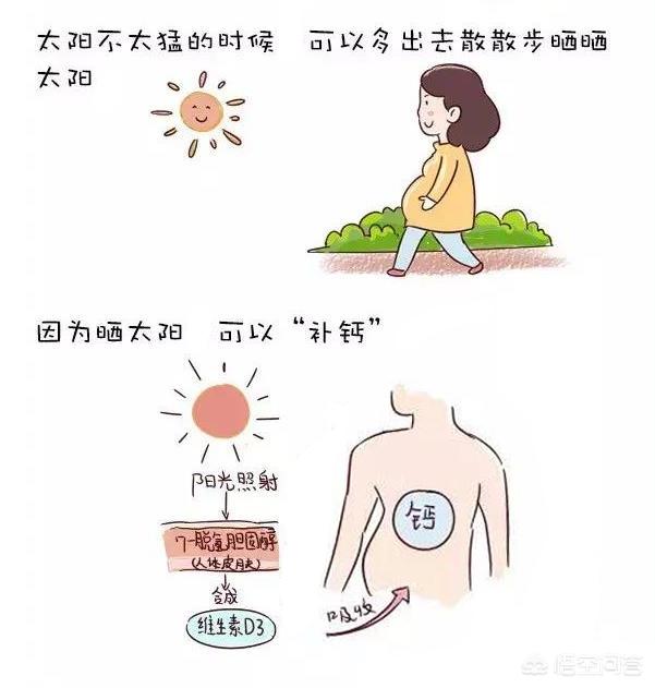 孕期的时候孕妇可以进行哪些运动？