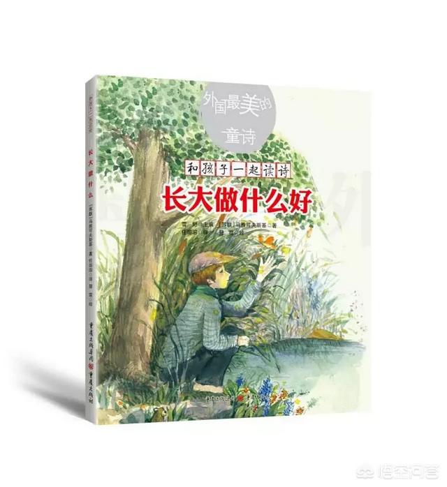中国童诗有那些不错的绘本？