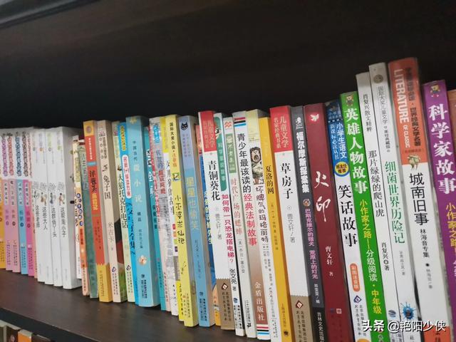 家长们能不能推荐一下自家孩子小学阶段特别爱看的书？