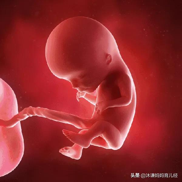 怀孕6个月的胎宝宝是什么状态？准妈妈要注意哪些方面的变化？