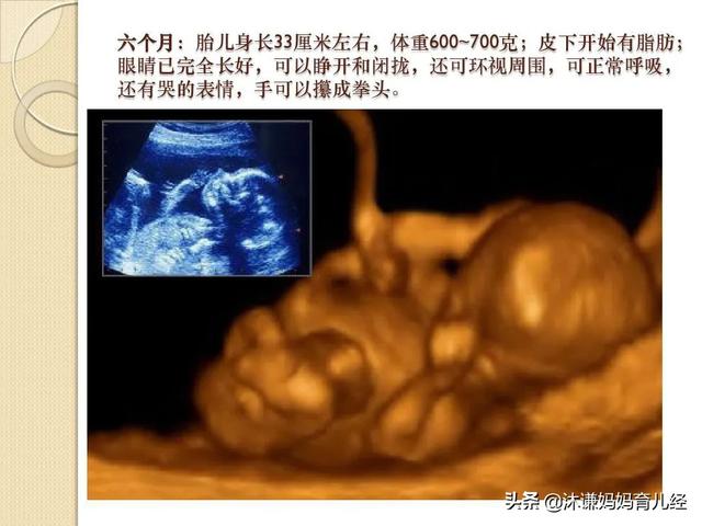 怀孕6个月的胎宝宝是什么状态？准妈妈要注意哪些方面的变化？
