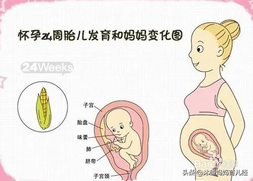 怀孕6个月的胎宝宝是什么状态？准妈妈要注意哪些方面的变化？
