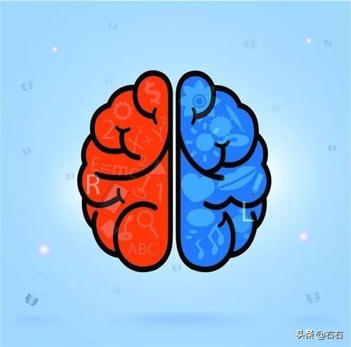 如何开发右脑？右脑开发有哪些方法？