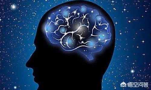 如何让大脑变聪明？