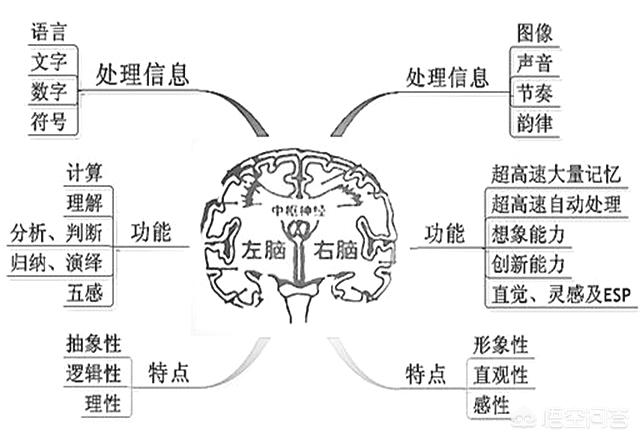 人的大脑真的没有可开发余地吗？要如何开发？