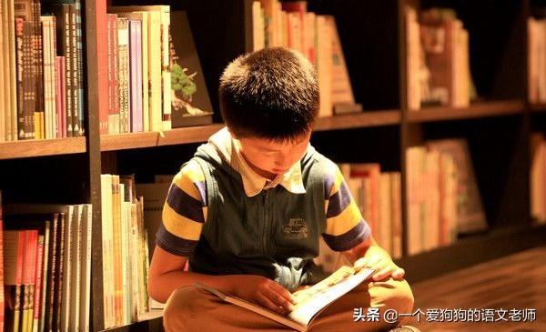 放暑假，应该给小学孩子买什么课外书5年级的？