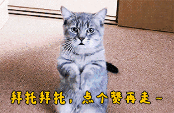 幼儿园小孩打架应该怎么教育？