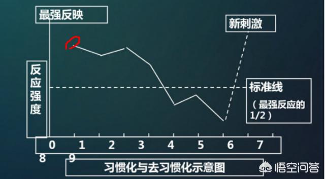 提高儿童想象力训练的具体方法有哪些呢？