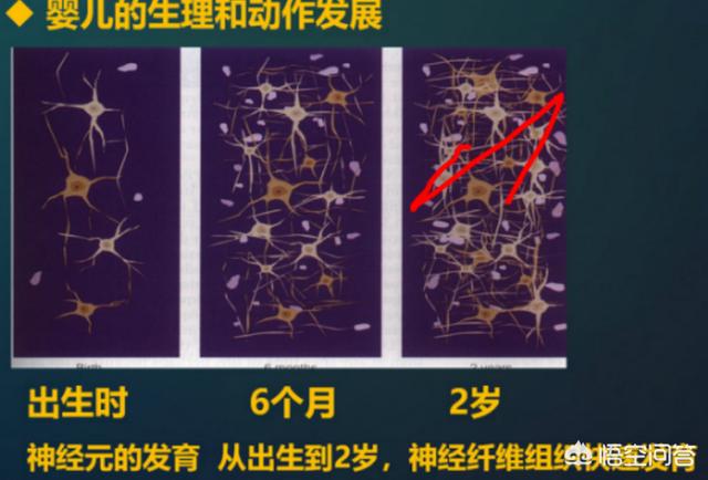 提高儿童想象力训练的具体方法有哪些呢？