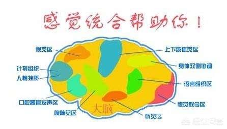 生活里孩子常见的感统失调的表现有哪些？