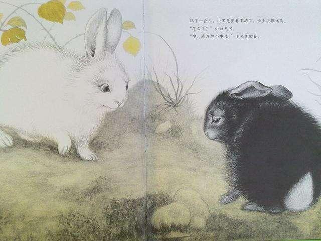 求一些温暖的睡前故事？讲给女朋友的？