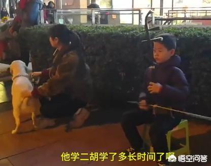 重庆10岁萌娃街头卖艺挣狗粮，你会支持他吗？