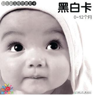 怎样和婴儿一起读绘本？