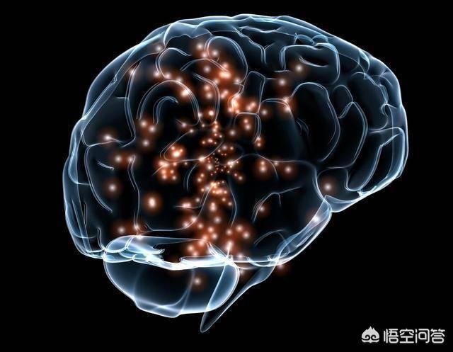 人类进化出那么智慧的大脑，却只开发了一小部分这种说法是真的吗？
