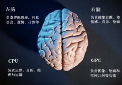 如何开发右脑的功能呢？