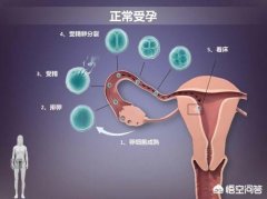 在备孕期间，怎样才能怀上健康聪明的宝宝？